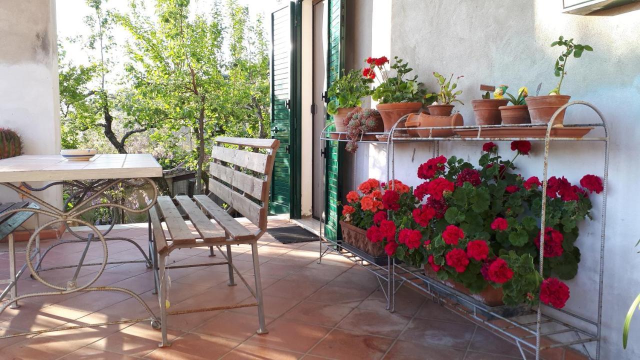 Casa Di Giulia Apartment Santa Luce Bagian luar foto
